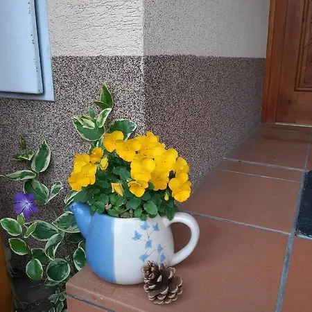 Pod Hradem Apartment