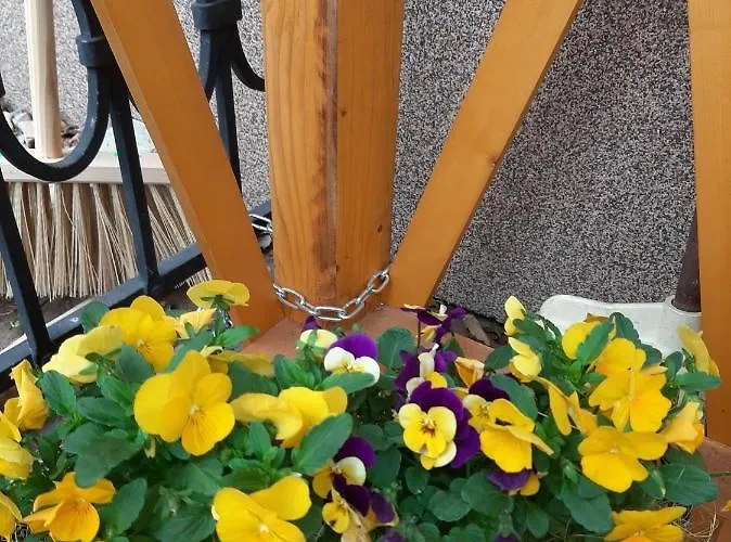 Apartament Pod Hradem *