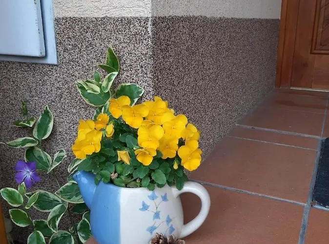 Pod Hradem Apartament